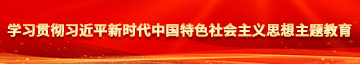 免费干逼视频网站学习贯彻习近平新时代中国特色社会主义思想主题教育